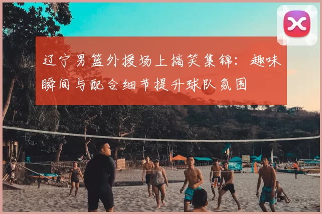 辽宁男篮外援场上搞笑集锦：趣味瞬间与配合细节提升球队氛围