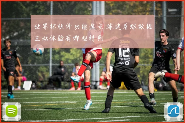 世界杯软件功能盘点 球迷看球数据互动体验有哪些特色