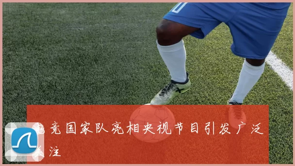 电竞国家队亮相央视节目引发广泛关注