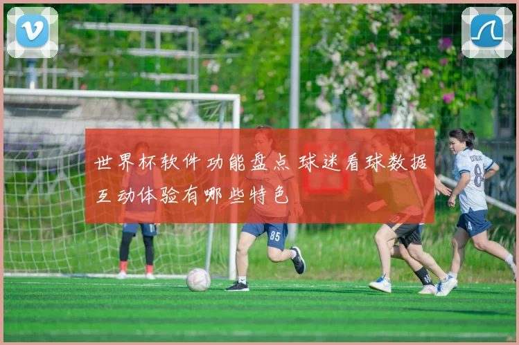 世界杯软件功能盘点 球迷看球数据互动体验有哪些特色