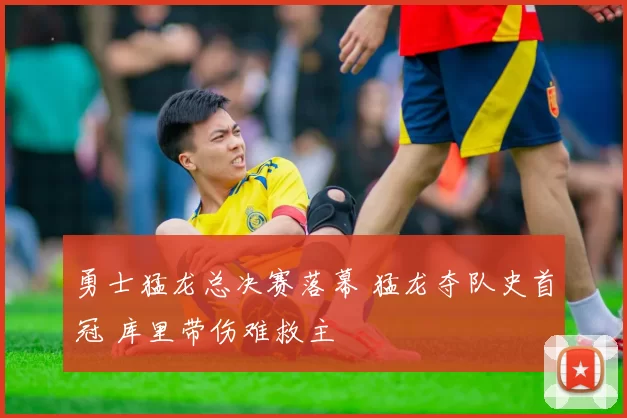 勇士猛龙总决赛落幕 猛龙夺队史首冠 库里带伤难救主