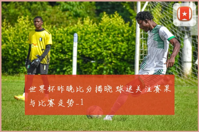 世界杯昨晚比分揭晓 球迷关注赛果与比赛走势_1